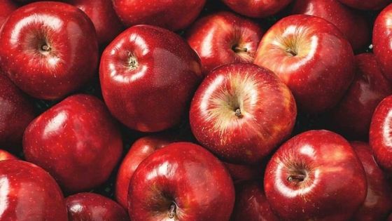 Circuito productivo de la manzana: cultivo, cosecha y distribución
